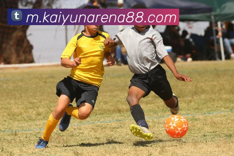 开云体育APP 封面图